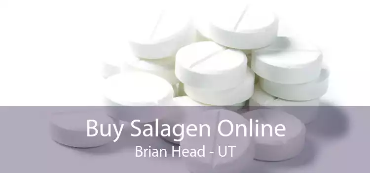 Buy Salagen Online Brian Head - UT
